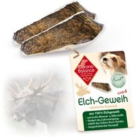 ChronoBalance Elch Geweih Snack 2xS, 2x von ChronoBalance