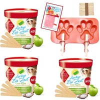 ChronoBalance Hundeeis zum Selbermachen 3 x Cool Apple + Form Frucht von ChronoBalance