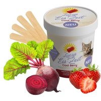 ChronoBalance Katzeneis zum Selbermachen Cool Carrot Beeren von ChronoBalance