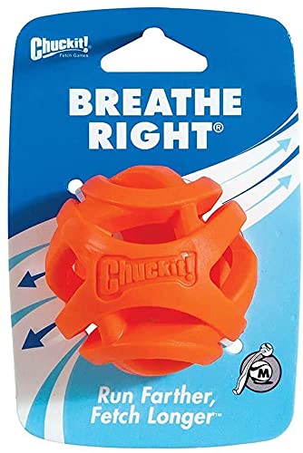 Chuckit Breathe Right Fetch Ball Medium - Hundewurfball - Doppelpack - 1 Stück von Chuckit!