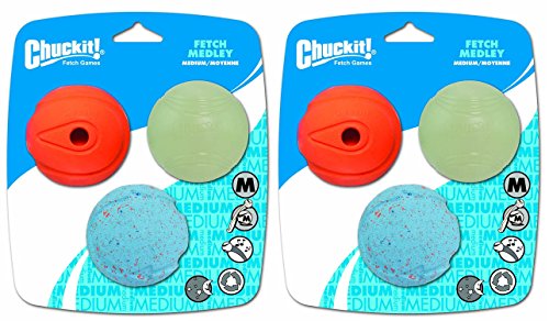 Canine Hardware Chuckit. Fetch Medley Bälle 6er Pack (2 Pakete von 3) von Chuckit!