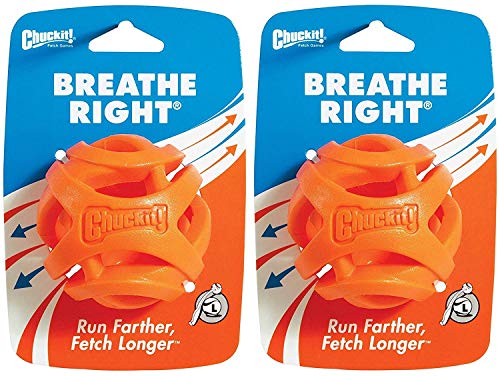 Chuckit! (2 Pack) Breathe Right Fetch Ball (groß) von Chuckit!