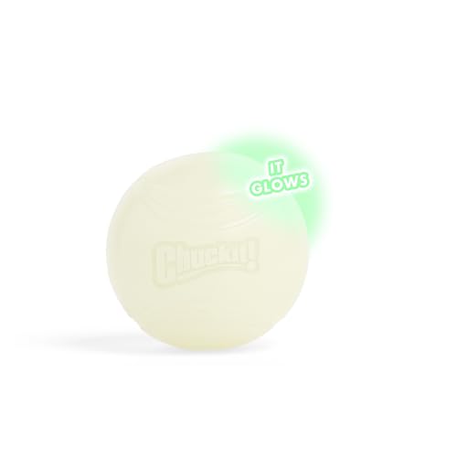 Chuckit – Max Glow Ball Large – Phosphoreszierender Ball für Hunde – Gummiball – weich im Mund – verstärkt die Komplizenschaft – Größe Large – Durchmesser 7,5 cm von Chuckit!