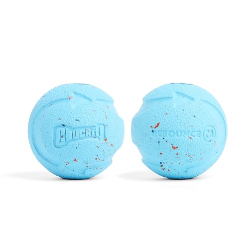 Chuckit! CH 0520320 Rebounce Ball Medium 2-er Pack von Chuckit!