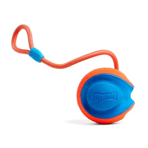 Chuckit! CH 32220 Rope Fetch von Chuckit!