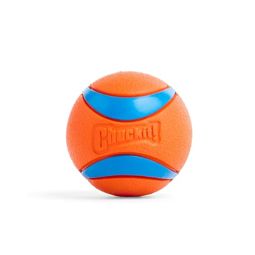 Chuckit – Ultra Ball Medium – 1 Jagdball für Hunde – Robuster und vielseitiger Ball – Ball der auf der Wasseroberfläche schwimmt – Kompatibel mit Chuckit Launchern - 6,5 cm Durchmesser, Mehrfarbig von Chuckit!