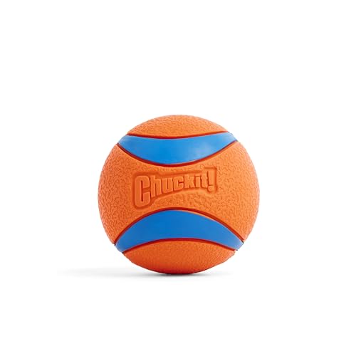 Chuckit – Ultra Ball XLarge – 1 Jagdball für Hunde – Robuster und vielseitiger Ball – Ball der auf der Wasseroberfläche schwimmt – Kompatibel mit Chuckit Launchern – 8,5 cm Durchmesser, Mehrfarbig von Chuckit!