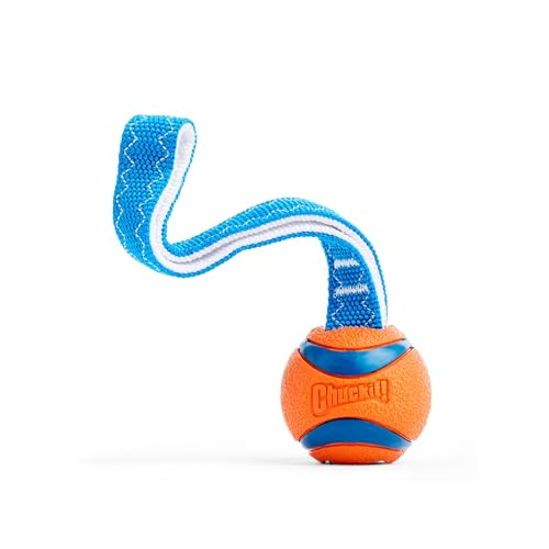 Chuckit! CH231101 Ultra Tug Small, Orange/Blau von Chuckit!