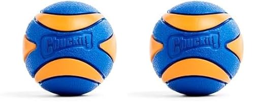 Chuckit! CH52068 Ultra Squeaker Ball Medium 1-er Pack (Packung mit 2) von Chuckit!