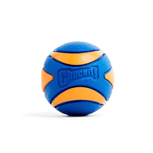 Chuckit! CH52070 Ultra Squeaker Ball Small 1-er Pack von Chuckit!