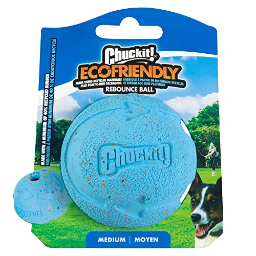 Chuckit! Fetch Rebounce Ball von Chuckit!