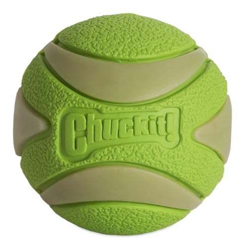 Chuckit! - Max Glow Ultra Squeaker Ball - Phosphorball für Hunde - Quietschball für Hunde - Leuchtet im Dunkeln - Erzeugt lustige Geräusche - Stärkt die Bindung - Größe Medium - Durchmesser 6,5 cm von Chuckit!