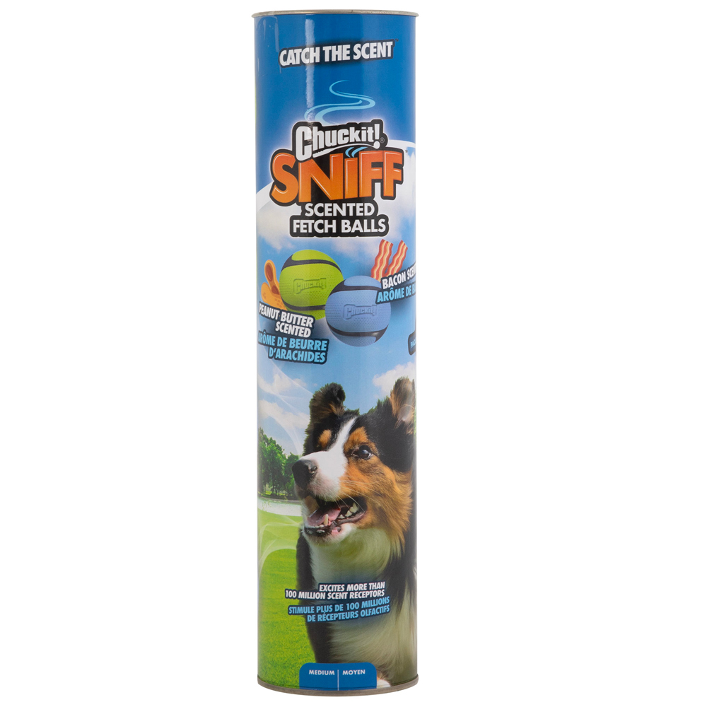 Chuckit! Sniff Fetch Balls Canister - 4 Stück (Ø 6,5 cm) von Chuckit!