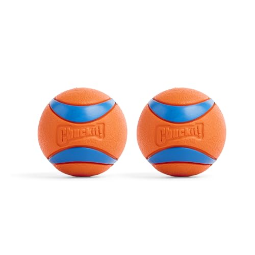 Chuckit – Ultra Ball Medium 2 Stück – 2 Jagdbälle für Hunde – Robuster und vielseitiger Ball – Ball der auf der Wasseroberfläche schwimmt – Kompatibel mit Chuckit Launchern – 6,5 cm Durchmesser, Mehrfarbig von Chuckit!