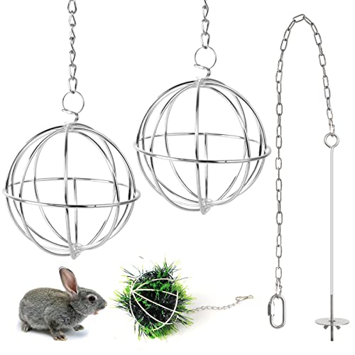 2 Stücke Edelstahl Feeder Ball Heuball Kaninchen mit 1 Obst- und Gemüsestäbchenhalter Gabel Fütterung Spielzeugs Futterbälle für Hase Meerschweinchen Kaninchen Chinchillas Hamster zum Aufhängen von Chudian