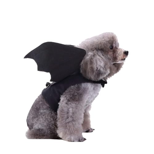 SDZ53bianfuz, Weihnachtskleidung, für Halloween, Cosplay, Kostüm, Fledermaus-Kostüm, Reitkatze, lustige Kleidung für kleine Hunde (SDZ53bianfuz, M) von Chukamalilayi