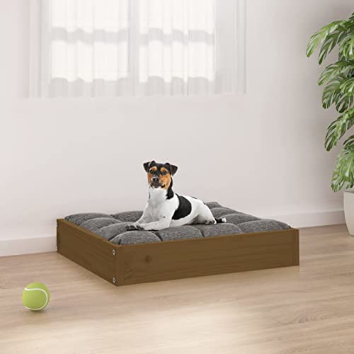 Chusui Hundebett, Hundesofa, Hunde Bett, Hundekissen, Dog Bed, Kuschelbett Katzen, Hunde Couch, Hunde Sofabett, Honigbraun 51,5x44x9 cm Massivholz Kiefer von Chusui