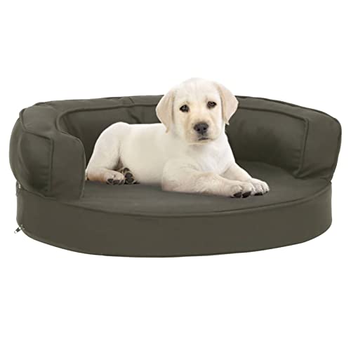 Chusui Hundematratze, Hundebett, Hundekissen, Hundematte, Dog Bed, Hunde Bettchen, Hunde Matratze, Hundepolster, Katzenbett, Ergonomisch 60x42 cm Leinenoptik Dunkelgrau von Chusui