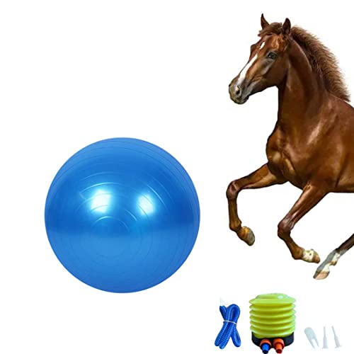 Chyesong Pferdeball-Trainingsspielzeug, Anti-Burst-Pferde-Übungsball mit Inflator-Pumpe für Pferd, Lamm und Ziege, Unterhaltungsspielzeug Ball (63,5 cm, blau) von Chyesong