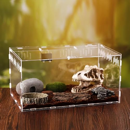 Acrylglasbehälter, Insekten-Terrarium Set, Reptile Fütterungsbox, Tragbarer Reptilien Insect Feeding geeignet für Spinnen, Geckos, Eidechsen, Frösche, Skorpione(30cm x 20cm x 15cm) von CiCixixi