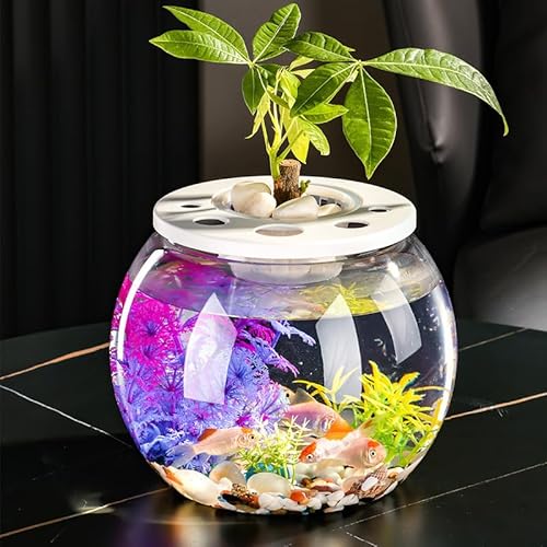 CiCixixi Aquariumschale,22cm Kunststoff Fischschale, Kugelaquarium Bruchsicherer Kunststoff Fischschale, ideal für Blumen oder als Fischglas, Rundes Fischaquarium,Mini-Aquarium Für Wohnzimmer von CiCixixi