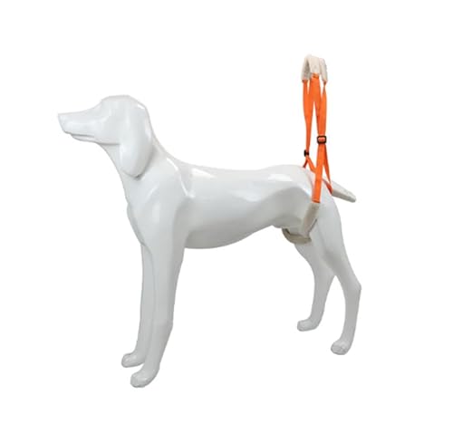 CiCixixi Tragehilfe für Hunde, Gehhilfe für Hunde Hinten, Hundegeschirr für Die Hinterbeine, Gehhilfe Hunde zum Unterstützung für behinderte, verletzte oder ältere Hunde (Orange) von CiCixixi