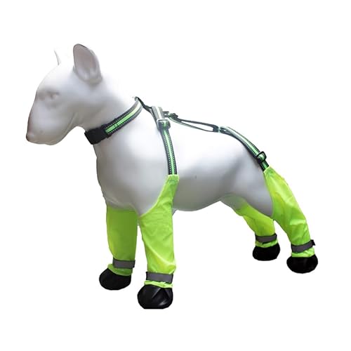 Dog Suspender Boots, Hundestiefel mit Hosenträgern, wasserdichte Hundeschuhe Verstellbare Hundehose Hundepfotenschutz mit Hilfsgurt für Hunde (M)+Kunststoff Faltschale für Haustiere von CiCixixi