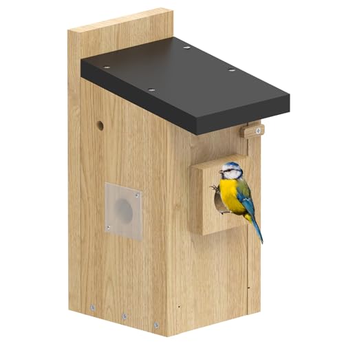 𝗖𝗶𝗞𝗶𝗞𝗪𝗫𝗢 Nistkästen Vogelhaus für Garten Hof, Vogelhäuschen für draußen, Vogelhaus aus Holz, sicherem Riegel, Belüftungsöffnungen für Blauvogelzaunkönig Schwalbenfink Schwalbenzaunkönig von CiKiKWXO