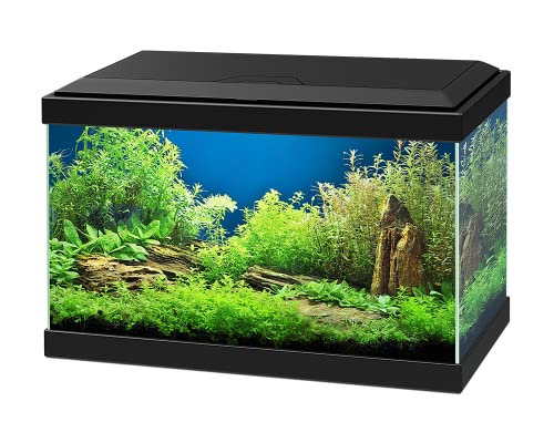 Askoll Aquarium Aqua 20 schwarz, 40 x 20 x 31 cm, mit LED und Filter, 17 Liter von Ciano