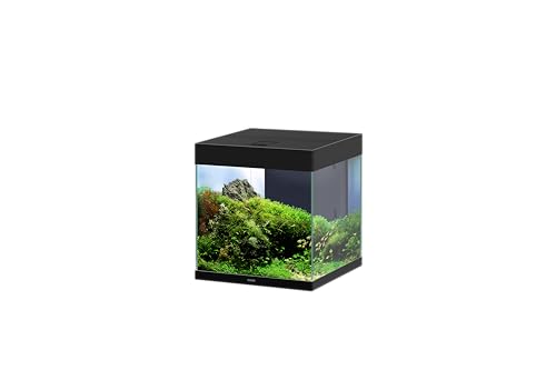 CIANO Aquarium Emotion Pro 40 schwarz von Ciano