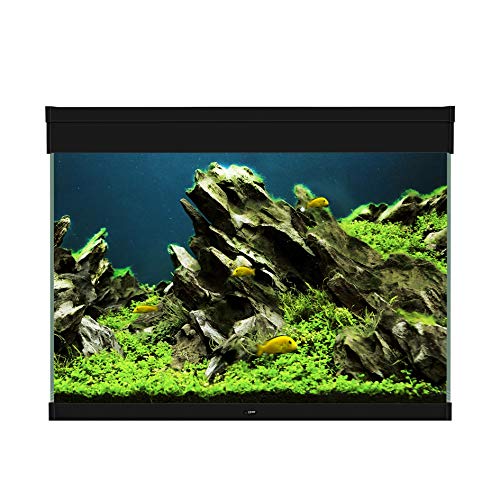 CIANO CIA070113 Emotions Pro 80 Aquarium Farbe schwarz von Ciano