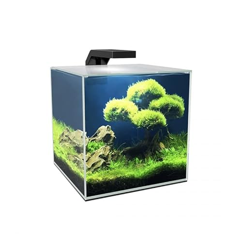 Cube Aqua LED 5L, 10L oder 15L (10) von Ciano