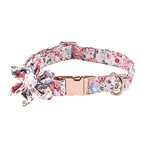 Cibaabo Hundehalsband mit Blume, niedliches florales Hundehalsband für kleine, mittelgroße und große Mädchen, weibliche Welpen, Haustiere, mit verstellbarer Sicherheits-Metallschnalle und D-Ring von Cibaabo