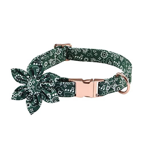 Cibaabo Hundehalsband mit Blume, niedliches florales Hundehalsband für kleine, mittelgroße und große Mädchen, weibliche Welpen, Haustiere, mit verstellbarer Sicherheits-Metallschnalle und D-Ring von Cibaabo