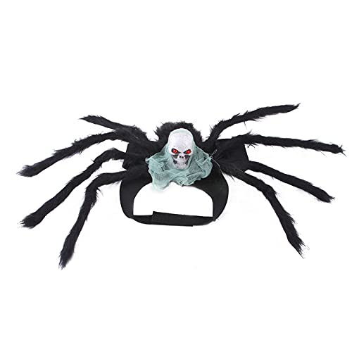 Cicano Halloween Katze Hund Spinne Kostüm Halloween Haustier Schädel Spinne Cosplay Dekoration Halsband für Kleintiere Grün L von Cicano