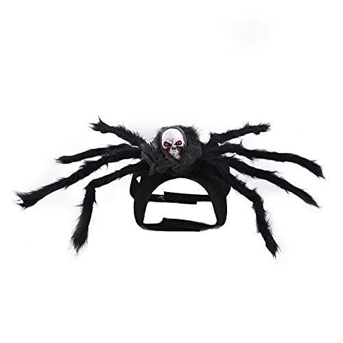 Cicano Halloween Katze Hund Spinne Kostüm Halloween Haustier Schädel Spinne Cosplay Dekoration Halsband für kleine Tiere Grau L von Cicano