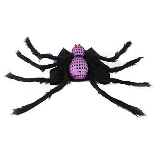 Cicano Halloween Spinne Kostüm für Katze Hund Haustier Halloween Dekor Kostüm Halsband für Kätzchen Welpen Lila L von Cicano