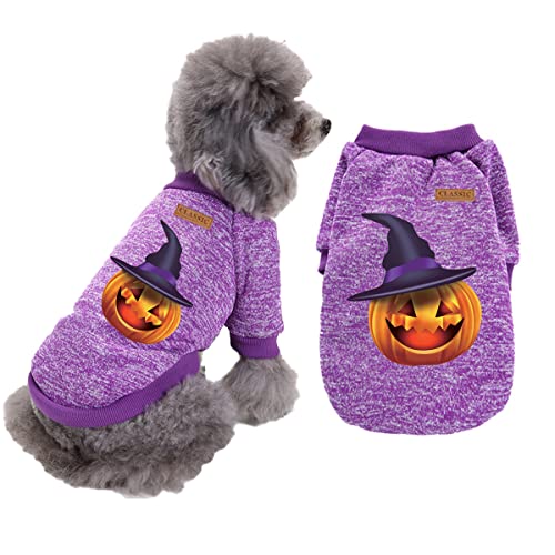 Cicano Hundepullover, Halloween-Haustierkostüme, Totenkopf-Kürbis-Aufdruck, für Hunde und Katzen, warm, Größe M, Violett von Cicano