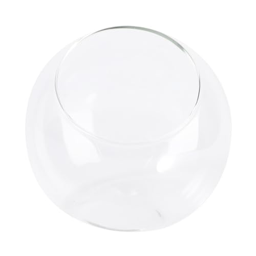 Ciieeo 1Stück Mini Landschafts Glasflasche DIY Micro Terrarium Container für Dekoration Kompakt und Langlebig für Design Jedem Ciieeo 1Stück Mini Landschafts Glasflasche DIY Micro Terrarium Container für Dekoration Kompakt und Langlebig für Design Jedem von Ciieeo