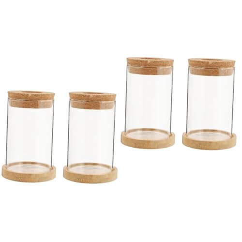 Ciieeo 2 Sätze Eco-Flasche Evengers Einmachgläser Vases Hydroponischer Topf Aquarium Glaswaren Hochzeitsdeko Terrarium Für Hydrokulturpflanzen Tischvase Hölzern Transparent 2 Stück * 2 Ciieeo 2 Sätze Eco-Flasche Evengers Einmachgläser Vases Hydroponischer Topf Aquarium Glaswaren Hochzeitsdeko Terrarium Für Hydrokulturpflanzen Tischvase Hölzern Transparent 2 Stück * 2 von Ciieeo