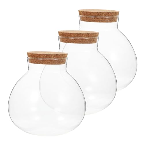 Ciieeo 3 Stück Teiliges Terrarium mit Korkverschluss Runde Pflanzenflasche für Mikrolandschaften für Heimdekoration und Sukkulentenpflege Ciieeo 3 Stück Teiliges Terrarium mit Korkverschluss Runde Pflanzenflasche für Mikrolandschaften für Heimdekoration und Sukkulentenpflege von Ciieeo