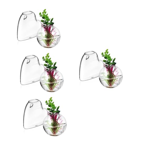 Ciieeo 4 Sätze Glasvase Pflanzen Terrarium Wandvase Für Blumen Hängende Vermehrungsstation Hängendes Terrarium Ausbreitung Wandbehang Glas Mit Hohem Borosilikatgehalt 2 Stück * 4 von Ciieeo