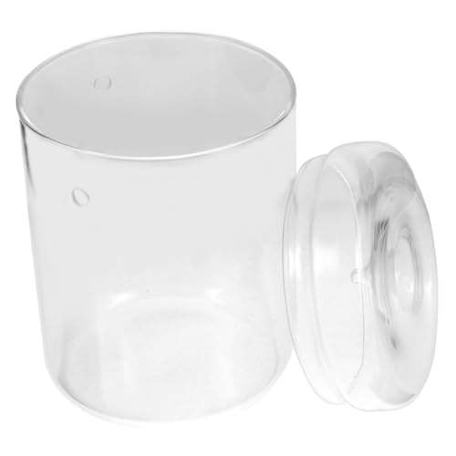 Ciieeo Landschaftsflasche Terrarium Glasbehälter Für Kreative Pflanzenarrangements Transparente -vase Für Zimmerpflanzen Wohnzimmer Büro Badezimmer Ciieeo Landschaftsflasche Terrarium Glasbehälter Für Kreative Pflanzenarrangements Transparente -vase Für Zimmerpflanzen Wohnzimmer Büro Badezimmer von Ciieeo