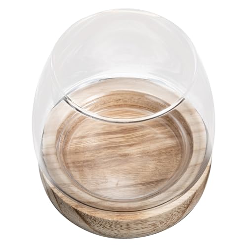 Ciieeo Kleine Glasvase mit Holzsockel Multifunktionale Hydroponik Blumenflasche Transparenter Fischschale für Mikrolandschaften und Wohnraumdekoration Leicht und Tragbar für Zuhause und Ciieeo Kleine Glasvase mit Holzsockel Multifunktionale Hydroponik Blumenflasche Transparenter Fischschale für Mikrolandschaften und Wohnraumdekoration Leicht und Tragbar für Zuhause und von Ciieeo