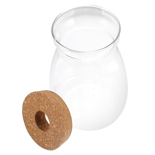 Ciieeo Terrarium Glasbehälter Für Hydroponikpflanzen Großes Dekoratives Ökosystem Mit Lochdeckel Für Sukkulenten Und Zimmerpflanzen Für Innenräume Und Tischdekoration Ciieeo Terrarium Glasbehälter Für Hydroponikpflanzen Großes Dekoratives Ökosystem Mit Lochdeckel Für Sukkulenten Und Zimmerpflanzen Für Innenräume Und Tischdekoration von Ciieeo