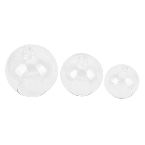 Ciieeo Terrarium Pflanzenzwiebelvase Hängende Glasvase Set 3er Pack Wohnkultur Ciieeo Terrarium Pflanzenzwiebelvase Hängende Glasvase Set 3er Pack Wohnkultur von Ciieeo