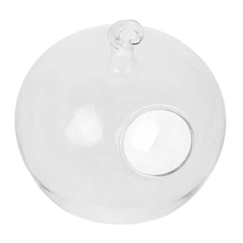 Ciieeo Transparente Glasvase im Apfel Design Hängendes Terrarium für Wasserpflanzen und Betta Fische als Dekorativer Tischaufsatz für Büro und Wohnzimmer Ciieeo Transparente Glasvase im Apfel Design Hängendes Terrarium für Wasserpflanzen und Betta Fische als Dekorativer Tischaufsatz für Büro und Wohnzimmer von Ciieeo