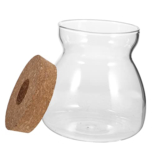Ciieeo Umweltfreundliches Terrarium Aus Glas Hydrokulturtopf Mit Deckel Ideal Für Zimmerpflanzen Dekorative Terrarien Für Zuhause Ciieeo Umweltfreundliches Terrarium Aus Glas Hydrokulturtopf Mit Deckel Ideal Für Zimmerpflanzen Dekorative Terrarien Für Zuhause von Ciieeo