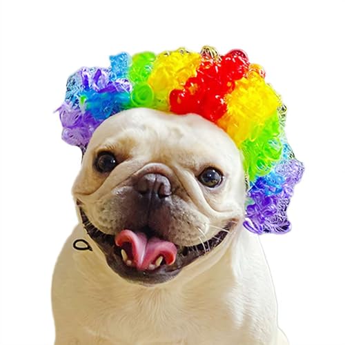 Hundeperücken für kleine Hunde, lustiges Hunde- und Katzenkostüm, Cosplay-Perücken für Halloween, Weihnachten, Partys, Festivals, Haustier-Hundeperücken für 30-59,9 cm Kopfumfang von Cikiki