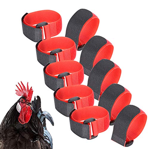 5Bag Anti-Haken Hahn Kragen Nylon No Crow Hahn Kragen Noise Neck Belt Pet Chicken Supply von Cikonielf